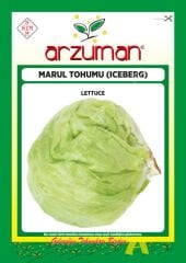 Iceberg Marul Tohumu 1000 Ad Arzuman