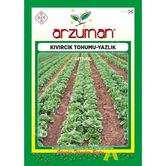Yazlık Kıvırcık Marul Tohumu 10 Gr –Arzuman