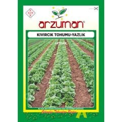 Yazlık Kıvırcık Marul Tohumu 10 Gr –Arzuman