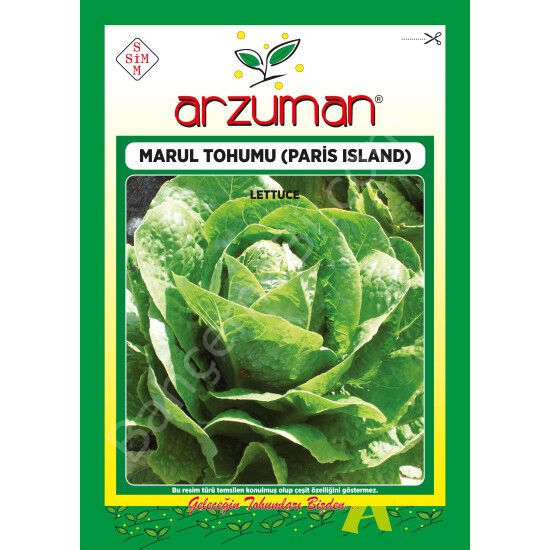 Paris Island Marul Tohumu 10 Gr –Arzuman