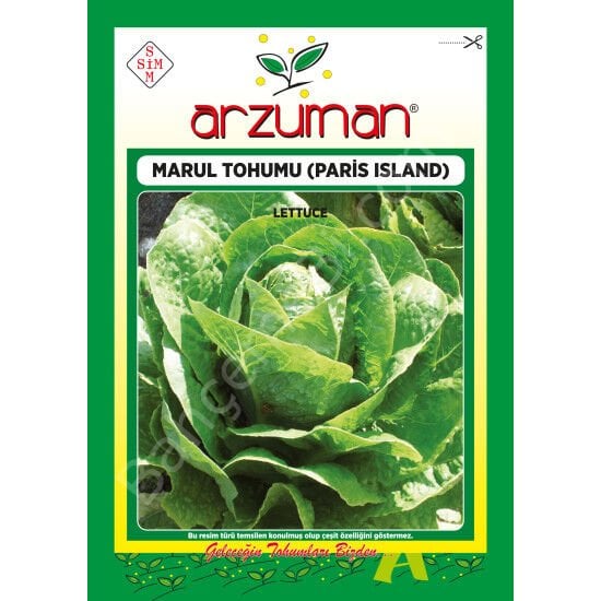 Paris Island Marul Tohumu 10 Gr –Arzuman