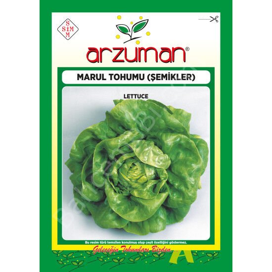 Şemikler Marul Tohumu 10 Gr –Arzuman
