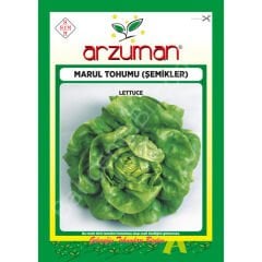 Şemikler Marul Tohumu 10 Gr –Arzuman