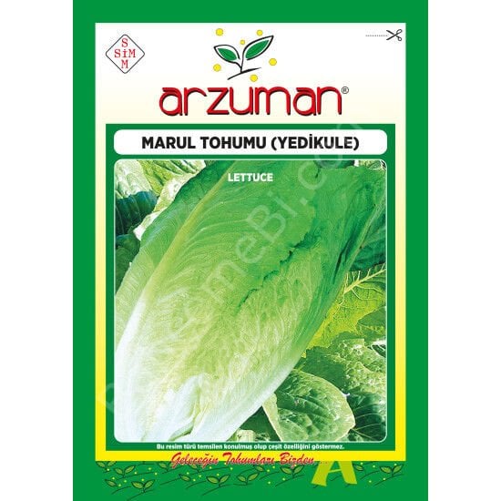 Yedikule Marul Tohumu 10 Gr –Arzuman