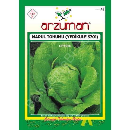 Yedikule-5701 Marul Tohumu 10 Gr –Arzuman