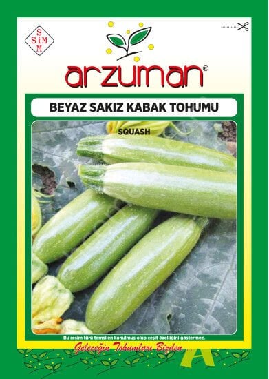 Beyaz Sakız Kabak Tohumu 10 Gr –Arzuman