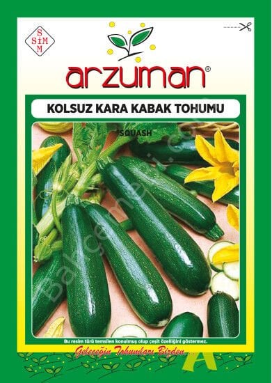 Siyah Kabak Tohumu 10 Gr –Arzuman