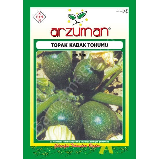 Topak Kabak Tohumu 10 Gr –Arzuman