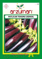 Patlıcan Tohumu (Kemer) 10 Gr –Arzuman