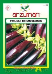 Patlıcan Tohumu (Kemer) 10 Gr –Arzuman