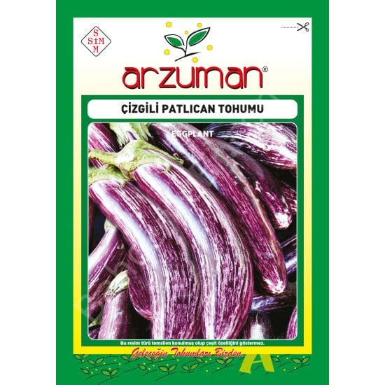 Çizgili Alaca Patlıcan Tohumu 5 Gr –Arzuman