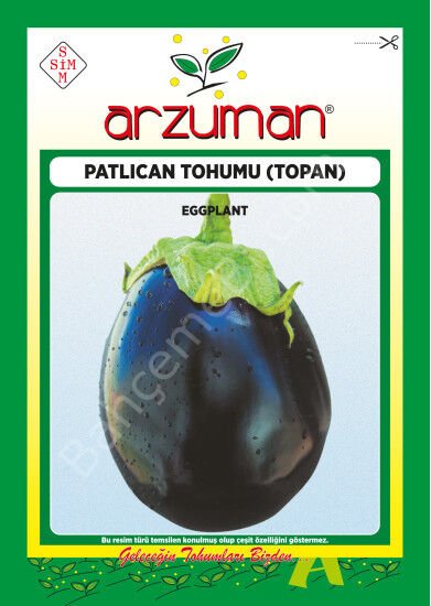 Topan Patlıcan Tohumu 10 Gr –Arzuman