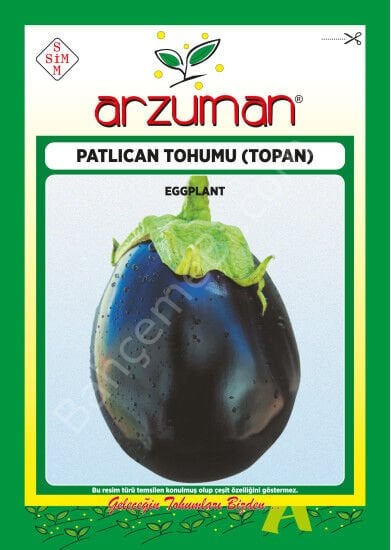 Topan Patlıcan Tohumu 10 Gr –Arzuman