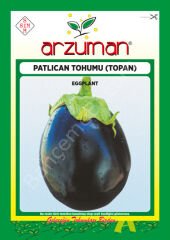 Topan Patlıcan Tohumu 10 Gr –Arzuman