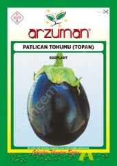 Topan Patlıcan Tohumu 10 Gr –Arzuman