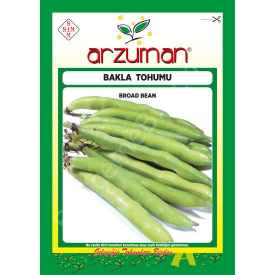Bakla Tohumu 50 Gr –Arzuman