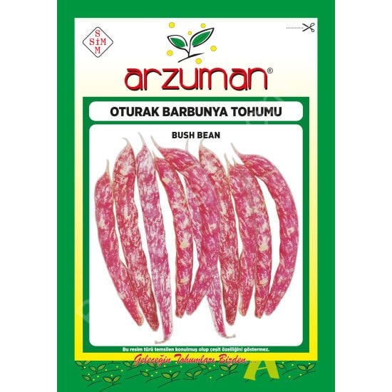 Barbunya (Oturak) Tohumu 50 Gr –Arzuman
