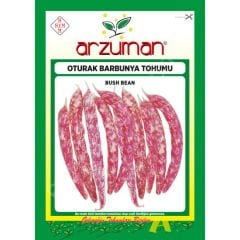 Barbunya (Oturak) Tohumu 50 Gr –Arzuman