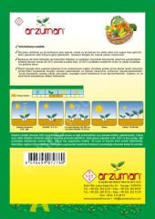 Barbunya (Sırık) Tohumu 50 Gr –Arzuman