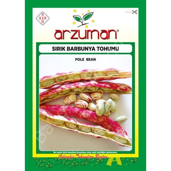 Barbunya (Sırık) Tohumu 50 Gr –Arzuman