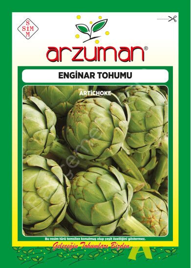 Enginar Tohumu 20 Adet –Arzuman