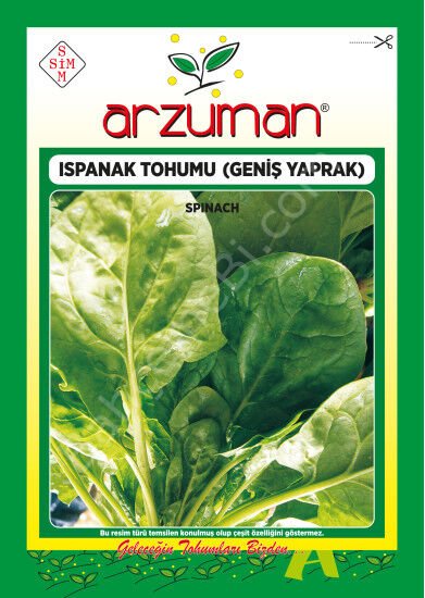 Ispanak (Matador) Tohumu 100 Gr –Arzuman
