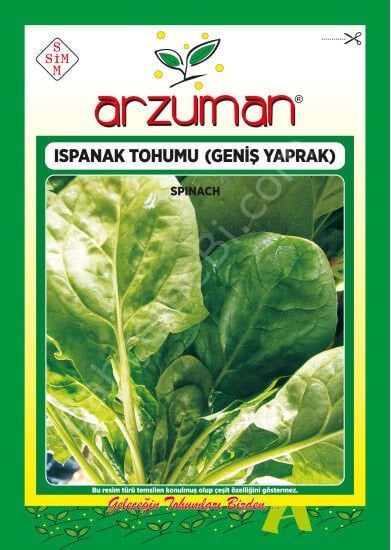 Matador İthal Ispanak Tohumu 25 Gr – Arzuman