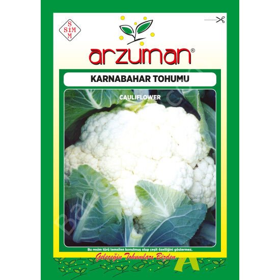 Karnabahar Tohumu 300 Adet – Arzuman