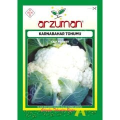 Karnabahar Tohumu 300 Adet – Arzuman