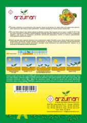 BEYAZ LAHANA Tohumu 10 gr –Arzuman