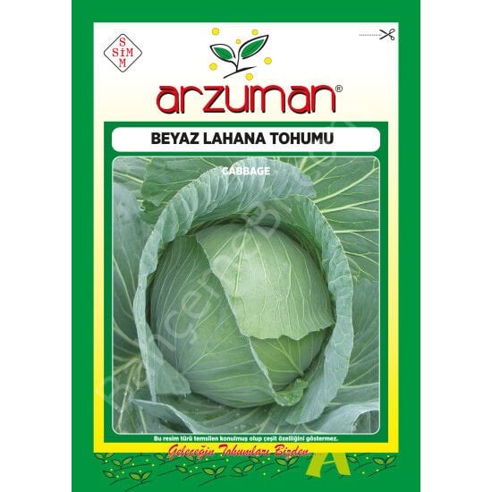 BEYAZ LAHANA Tohumu 10 gr –Arzuman