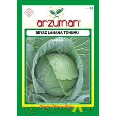 BEYAZ LAHANA Tohumu 10 gr –Arzuman