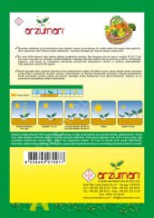 KIRMIZI / MOR LAHANA Tohumu 10 Gr –Arzuman