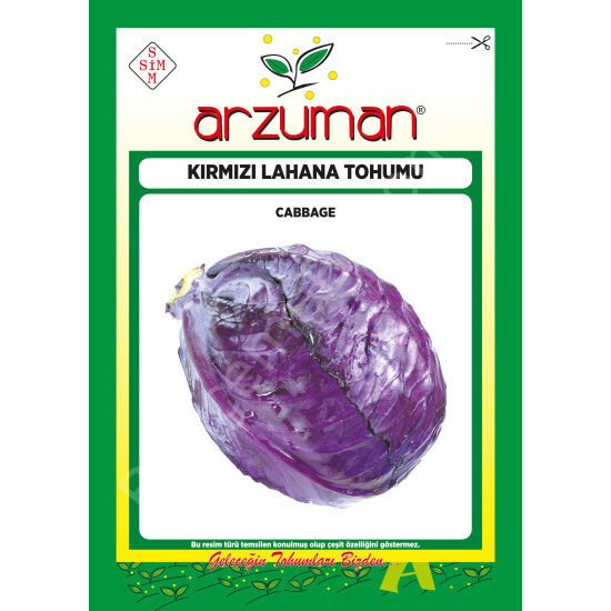 KIRMIZI / MOR LAHANA Tohumu 10 Gr –Arzuman