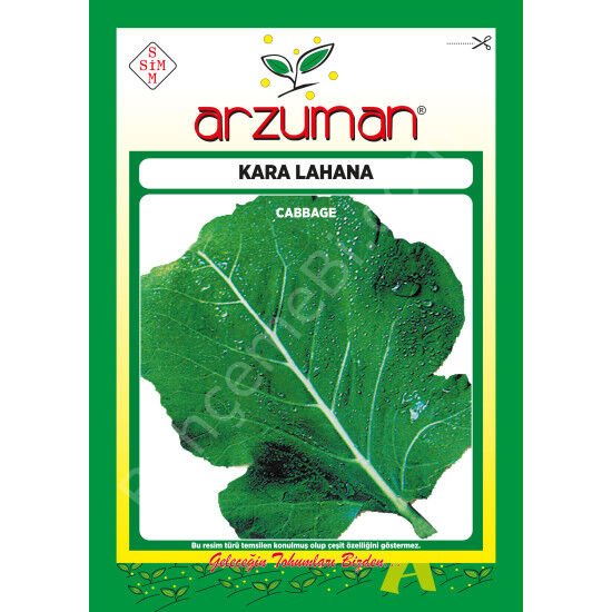 YAPRAK / KARALAHANA Tohumu 10 Gr – Arzuman