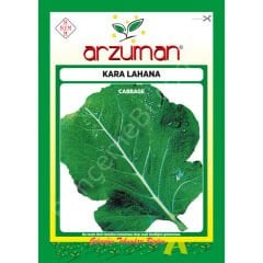 YAPRAK / KARALAHANA Tohumu 10 Gr – Arzuman