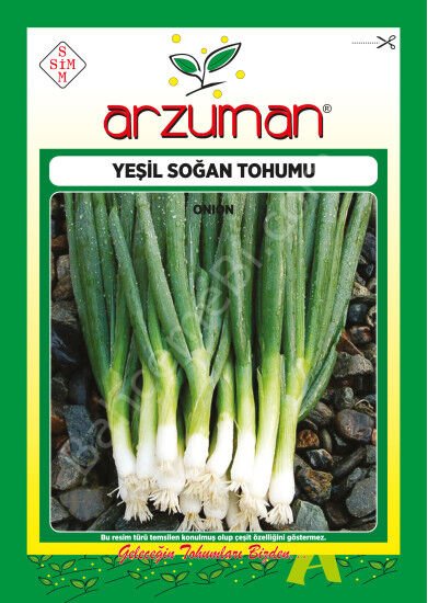 YEŞİL SOĞAN Tohumu 10 Gr –Arzuman