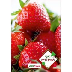 Çilek Tohumu 100 Adet – Arzuman