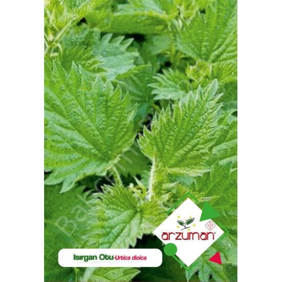 Isırgan Otu Tohumu 100 Adet – Arzuman