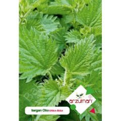 Isırgan Otu Tohumu 100 Adet – Arzuman