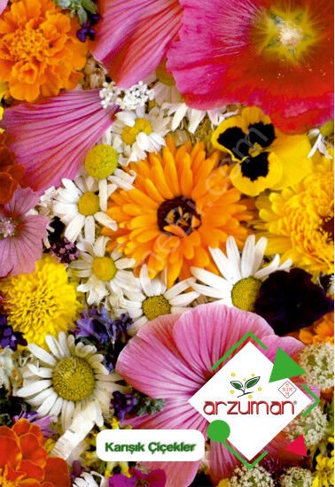Karışık Çiçekler Tohumu 50 Adet – Arzuman