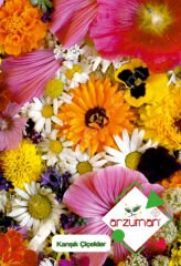 Karışık Çiçekler Tohumu 50 Adet – Arzuman