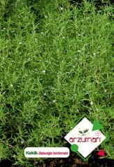 Kekik Tohumu 100 Adet – Arzuman