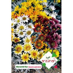 Meramlı Kız Çiçeği Tohumu 25 Adet – Arzuman