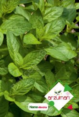 Nane Tohumu 100 Adet – Arzuman