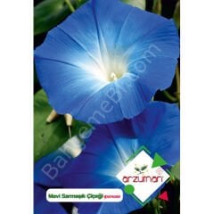 Sabah Sefası (Mavi Sarmaşık) Çiçeği Tohumu 30 Adet - Arzuman