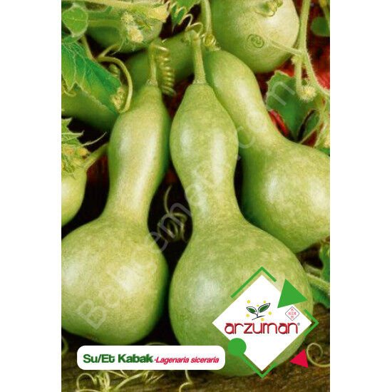Su-et Kabağı Tohumu 5 Adet | Arzuman