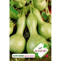 Su-et Kabağı Tohumu 5 Adet | Arzuman
