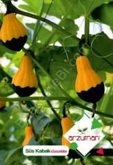 Süs Kabağı Tohumu | Arzuman