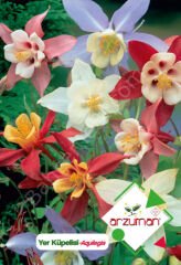 Yer Küpelisi Tohumu 100 Adet | Arzuman